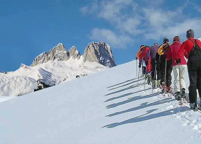 Отель Dolomites 3*